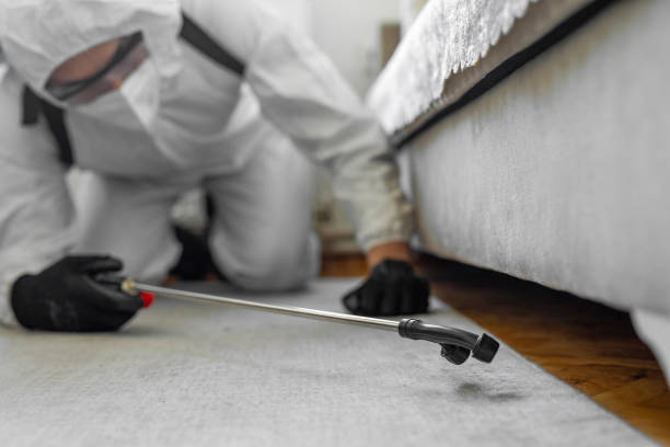 Professional Cockroach Control technician working in Harlem, FL