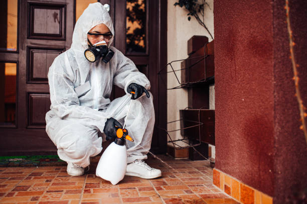 Reliable Cockroach Control contractor in Harlem, FL by Nex Pest Control